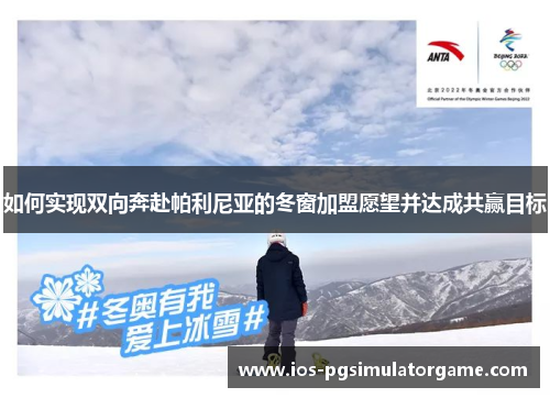 如何实现双向奔赴帕利尼亚的冬窗加盟愿望并达成共赢目标