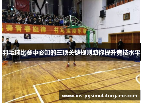 羽毛球比赛中必知的三项关键规则助你提升竞技水平