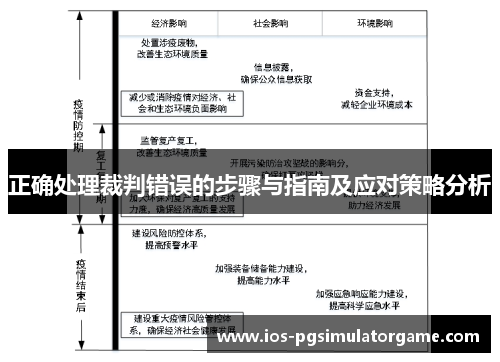 正确处理裁判错误的步骤与指南及应对策略分析