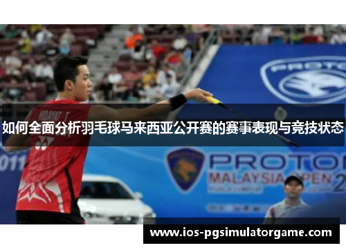 如何全面分析羽毛球马来西亚公开赛的赛事表现与竞技状态