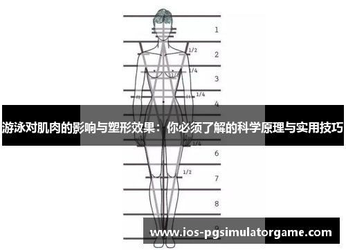 游泳对肌肉的影响与塑形效果：你必须了解的科学原理与实用技巧