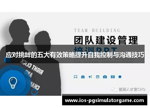 应对挑衅的五大有效策略提升自我控制与沟通技巧