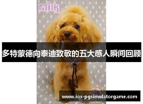 多特蒙德向泰迪致敬的五大感人瞬间回顾