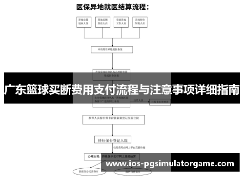 广东篮球买断费用支付流程与注意事项详细指南