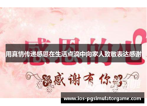 用真情传递感恩在生活点滴中向家人致敬表达感谢
