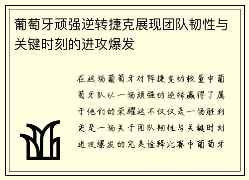 葡萄牙顽强逆转捷克展现团队韧性与关键时刻的进攻爆发