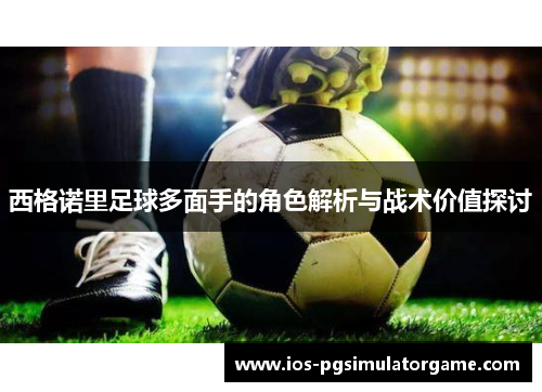 西格诺里足球多面手的角色解析与战术价值探讨
