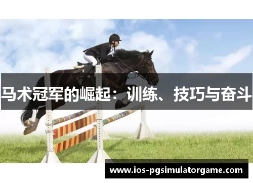 马术冠军的崛起：训练、技巧与奋斗