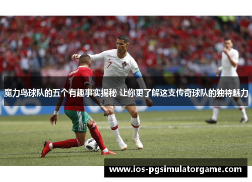 魔力鸟球队的五个有趣事实揭秘 让你更了解这支传奇球队的独特魅力