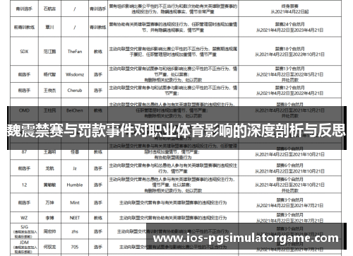 魏震禁赛与罚款事件对职业体育影响的深度剖析与反思