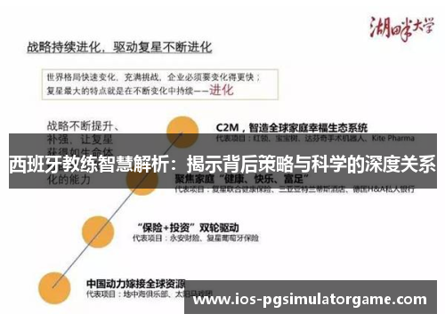 西班牙教练智慧解析：揭示背后策略与科学的深度关系