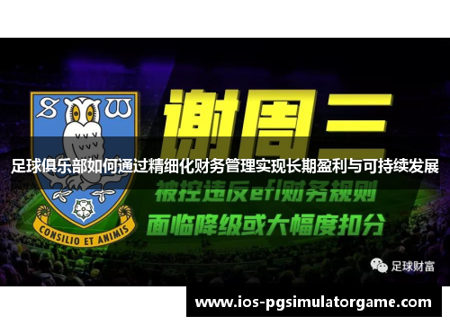 足球俱乐部如何通过精细化财务管理实现长期盈利与可持续发展 足球俱乐部如何通过精细化财务管理实现长期盈利与可持续发展