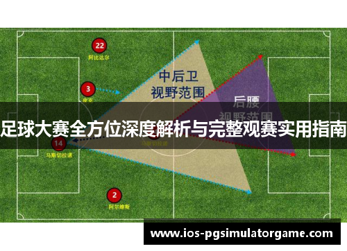 足球大赛全方位深度解析与完整观赛实用指南