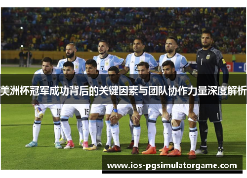 美洲杯冠军成功背后的关键因素与团队协作力量深度解析 美洲杯冠军成功背后的关键因素与团队协作力量深度解析