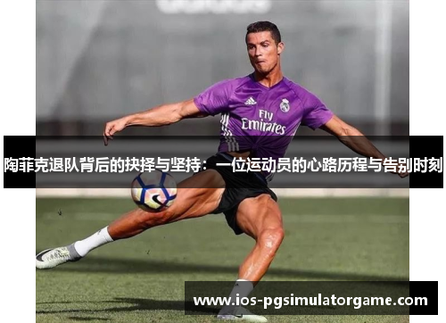 陶菲克退队背后的抉择与坚持：一位运动员的心路历程与告别时刻