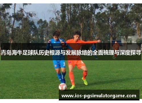 青岛海牛足球队历史根源与发展脉络的全面梳理与深度探寻