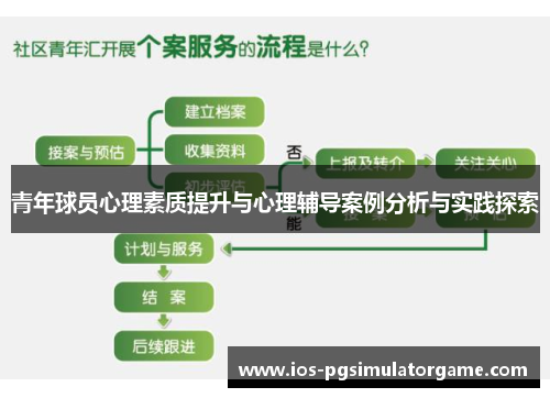青年球员心理素质提升与心理辅导案例分析与实践探索