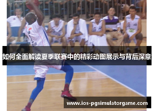 如何全面解读夏季联赛中的精彩动图展示与背后深意