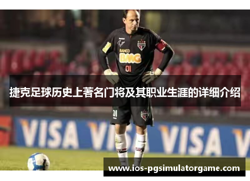 捷克足球历史上著名门将及其职业生涯的详细介绍