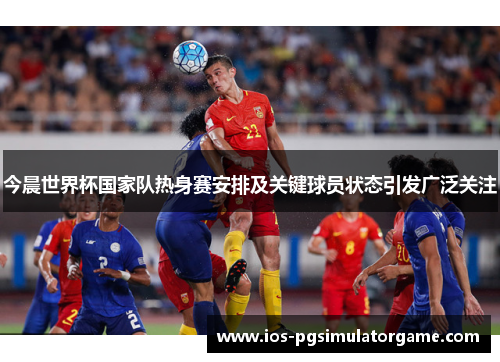 今晨世界杯国家队热身赛安排及关键球员状态引发广泛关注