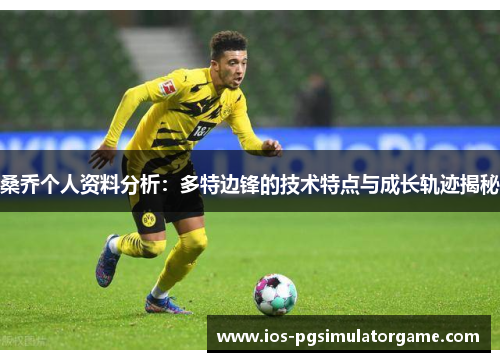 桑乔个人资料分析:多特边锋的技术特点与成长轨迹揭秘 桑乔个人资料分析:多特边锋的技术特点与成长轨迹揭秘