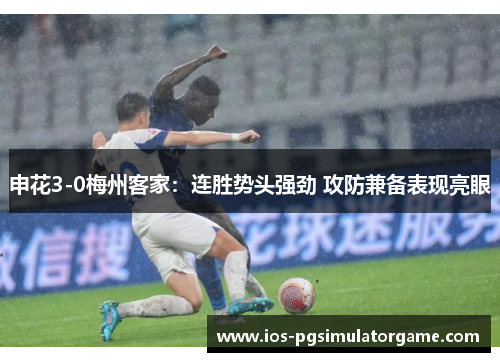 申花3-0梅州客家：连胜势头强劲 攻防兼备表现亮眼