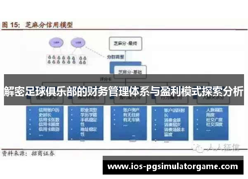 解密足球俱乐部的财务管理体系与盈利模式探索分析