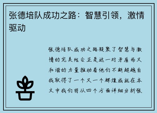 张德培队成功之路：智慧引领，激情驱动