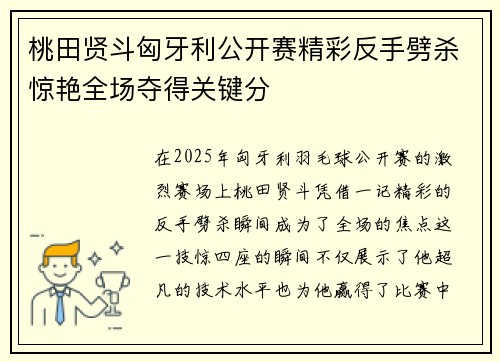 桃田贤斗匈牙利公开赛精彩反手劈杀惊艳全场夺得关键分
